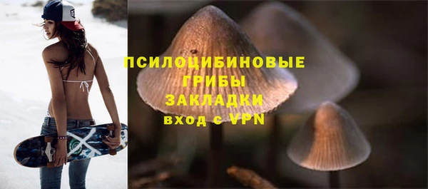 PSILOCYBIN Дмитриев