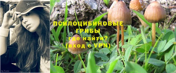 скорость Няндома